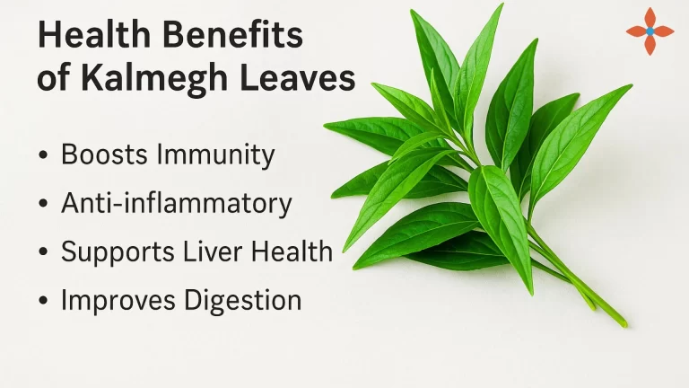 Infographic displaying the health benefits of Kalmegh leaves, including boosting immunity, supporting liver health, managing fever and infections, aiding digestion, reducing inflammation, and providing antioxidants—illustrated with icons and a central leafy branch for visual emphasis on natural wellness.