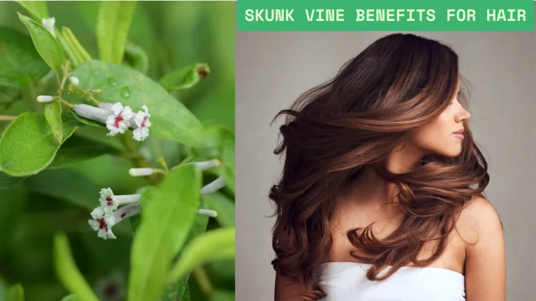 Skunk vine leaves and extract are displayed beside healthy, shiny hair, highlighting their natural benefits for hair growth and scalp health.