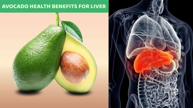 Fresh avocado slices are placed beside a healthy liver icon, representing the liver-supporting health benefits of avocados.
