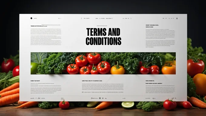 Terms and Conditions page of 9nn Times outlining user responsibilities, website usage policies, and legal disclaimers for accessing health and wellness content.